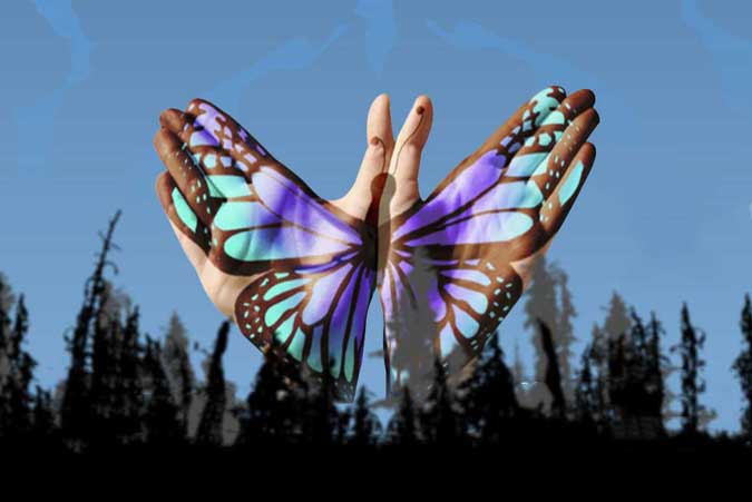 butterfly-ceremony-pic