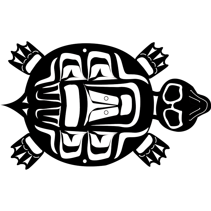 Salish Turtle